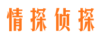 芮城侦探公司